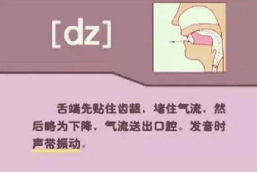 英语音标学习英式美式,英语音标发音教程零基础