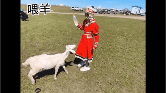 暑假内蒙古旅游攻略亲子,暑假亲子游玩内蒙古5天4夜