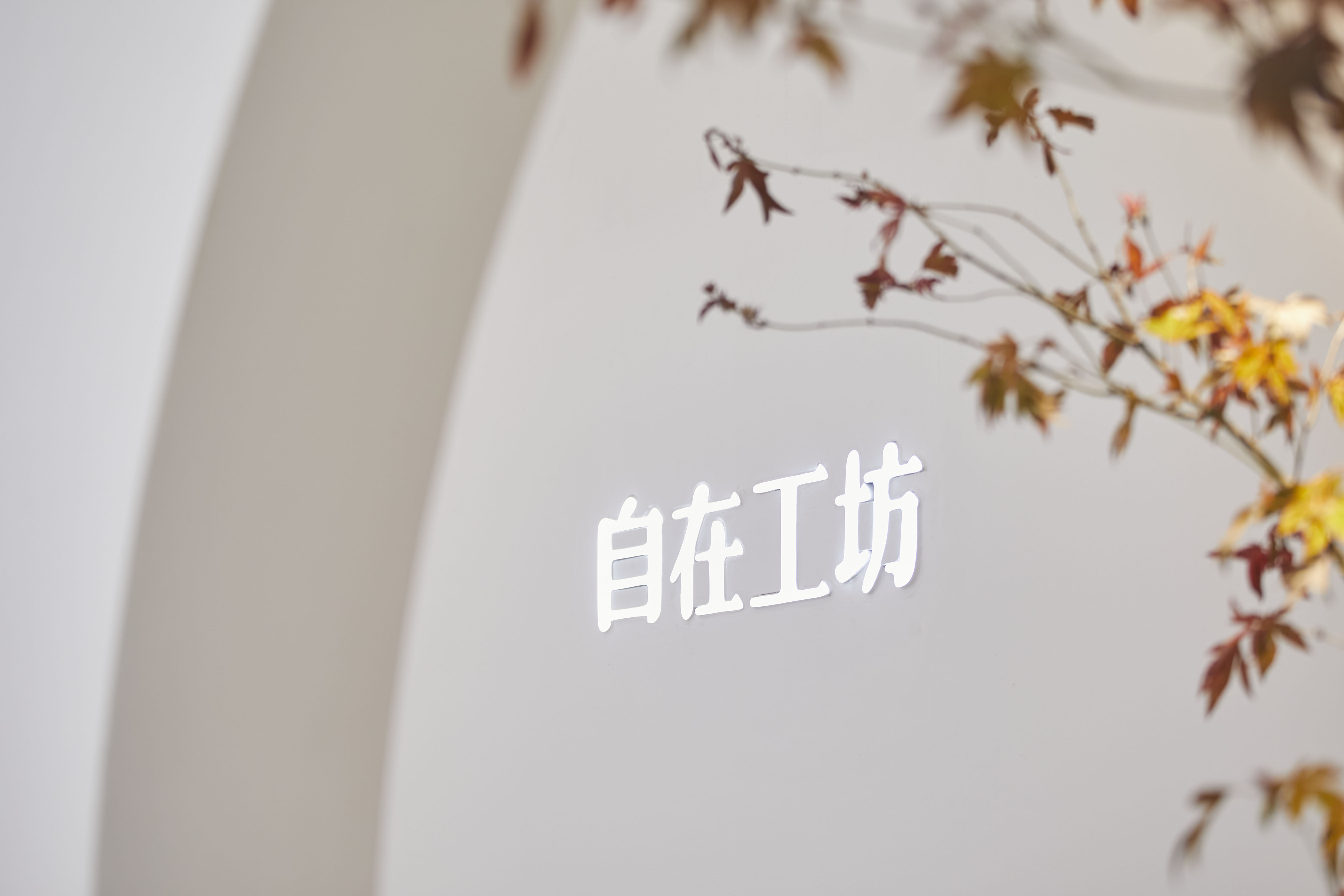 自在工坊直播,自在工坊深圳店