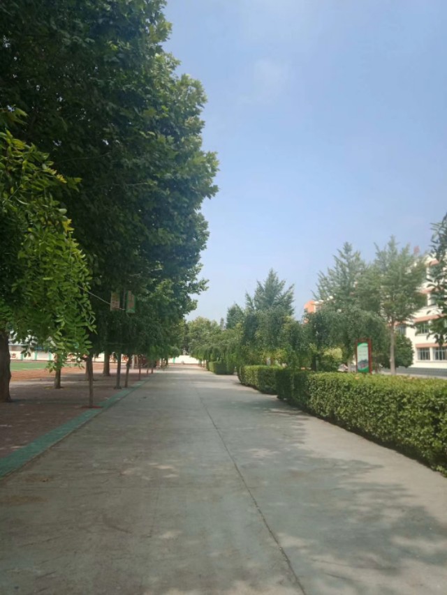 不解风情的雨季,不解风情的风