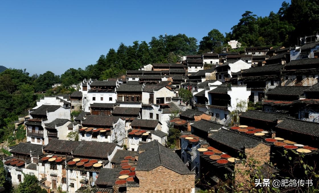 南昌市私立高中排名前十名,南昌市高中排名前20一览表