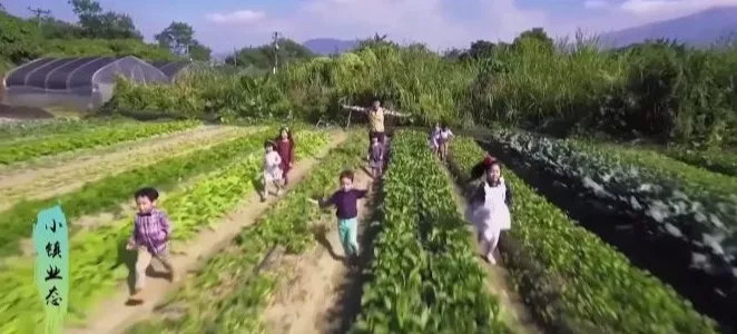 广东清远农民丰收节,清远市庆祝农民丰收节