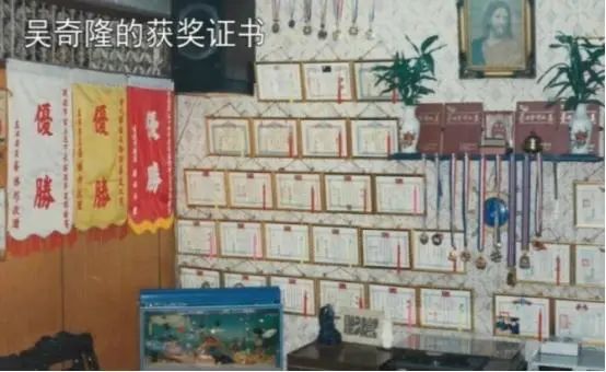 7位运动员出身的港台明星，2人参加过奥运，1人靠奖金还债