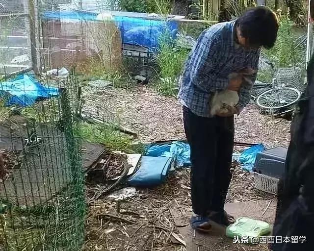 全亚洲最脏的宿舍,亚洲第一脏乱差的日本大学