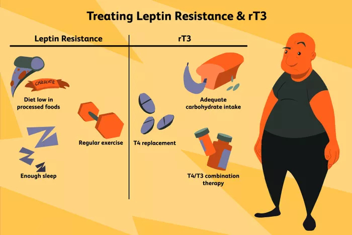 科学家将人类和动物基因融合一体,科学家让公鼠成功怀孕