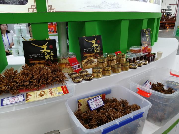 14万一斤的冬虫夏草,14万元一斤的冬虫夏草