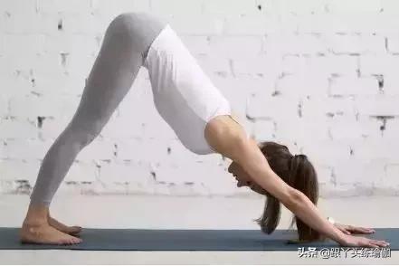 每天做下犬式的好处,下犬式的好处