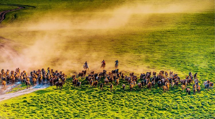 国际旅游摄影作品欣赏,国际旅游摄影官网