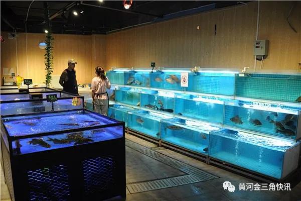 荣河1加1超市负责人,荣河1加1超市老板