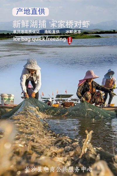 白对虾怎么做才好吃,对虾怎么做好吃教你两道简单菜谱