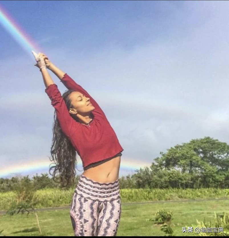 关于瑜伽的书籍瑜伽入门指南,瑜伽经典梵文100例