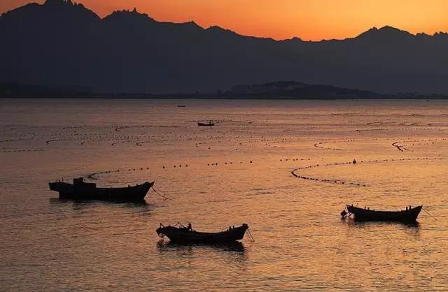 青岛文艺小岛旅游攻略,青岛旅游居住小岛有哪些