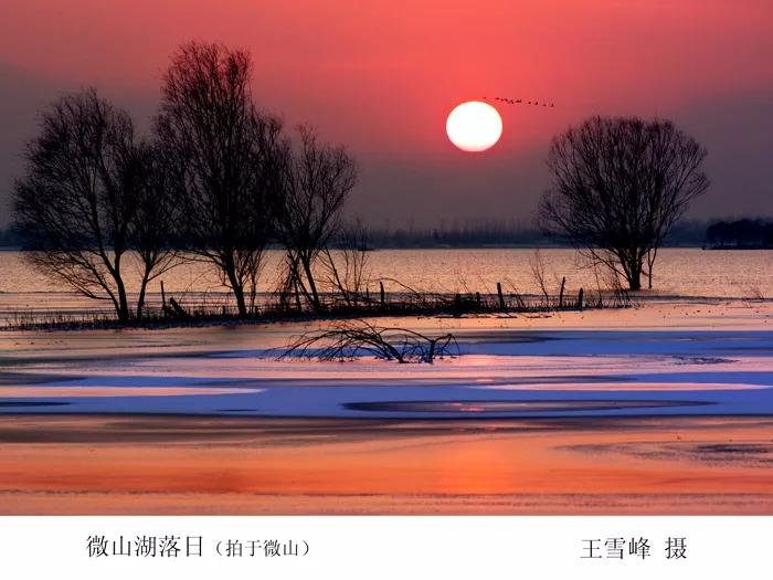 因它，江苏成上海农场，山东成上海矿区，安徽，竟成了上海监狱