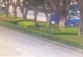 搞笑gif目光全在腿上了,爆笑gif动图我们一起出去霸气一点