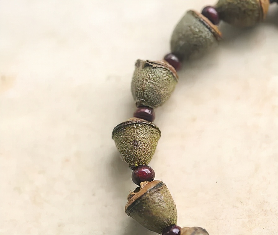 冷门菩提图片大全,比较少见的菩提