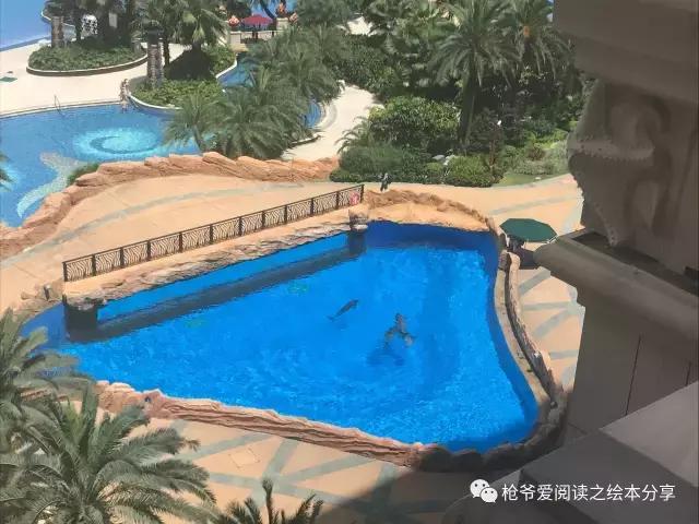 暑假珠海长隆两日一夜亲子游,珠海长隆海洋王国亲子游北极熊