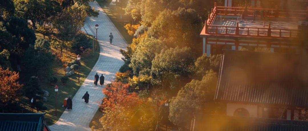 晨昏暮色正苏醒，这是我爱的舟山