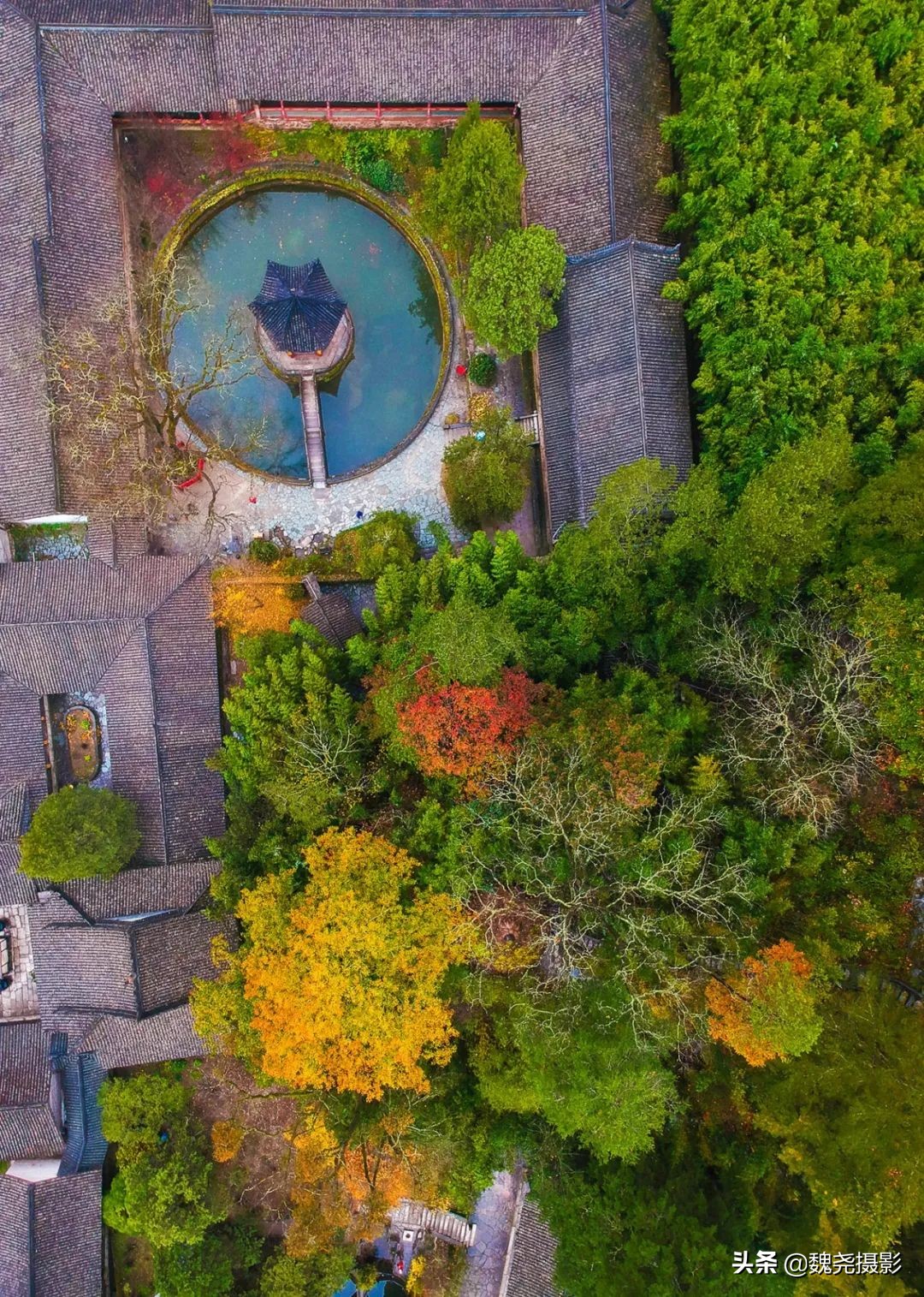 留坝秦岭之夜,留坝秦岭森林公园