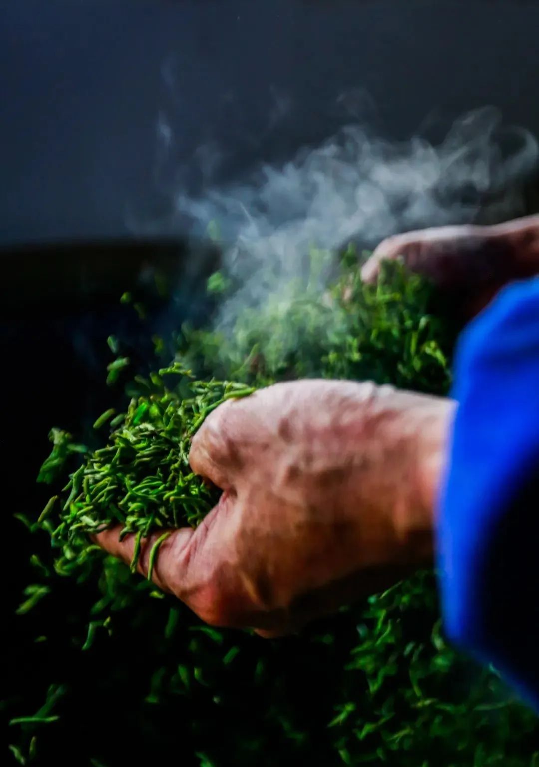 我们争分夺秒加班加点,就是为了奉上今春这第一波蒙顶皇茶!