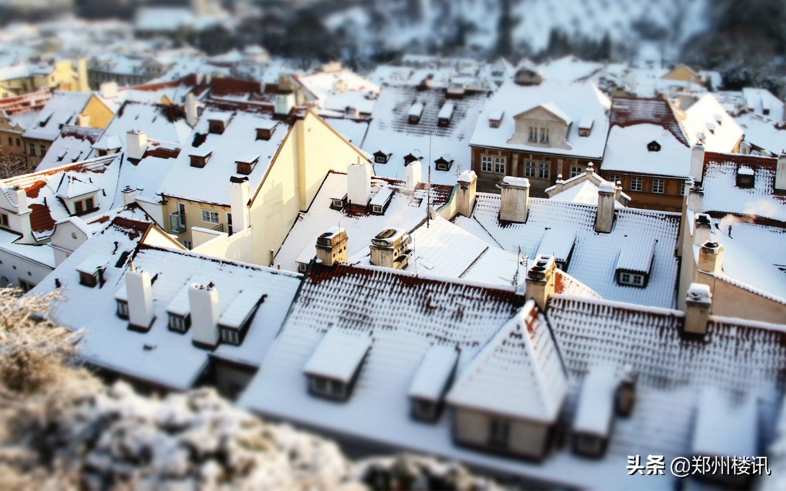 怎样让房东的房子租不出去呀,房东太难房子租不出去