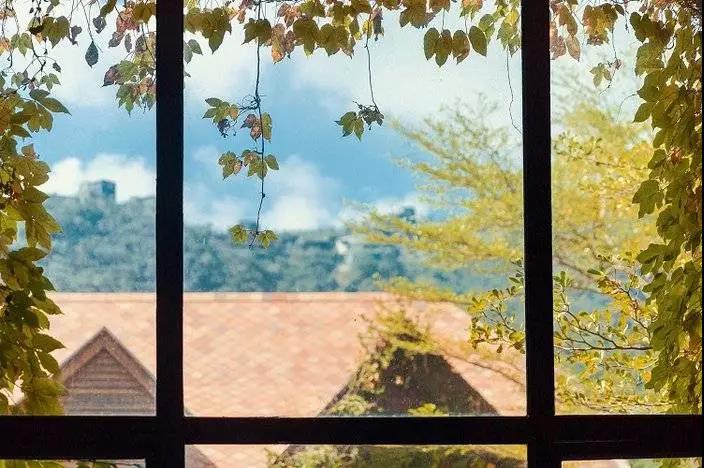 华侨城特价酒店,深圳华侨城酒店特惠