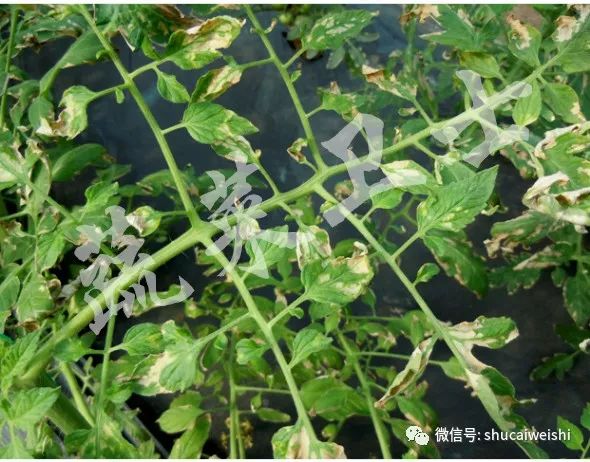 天气转凉如何预防,天气转凉吃什么药预防