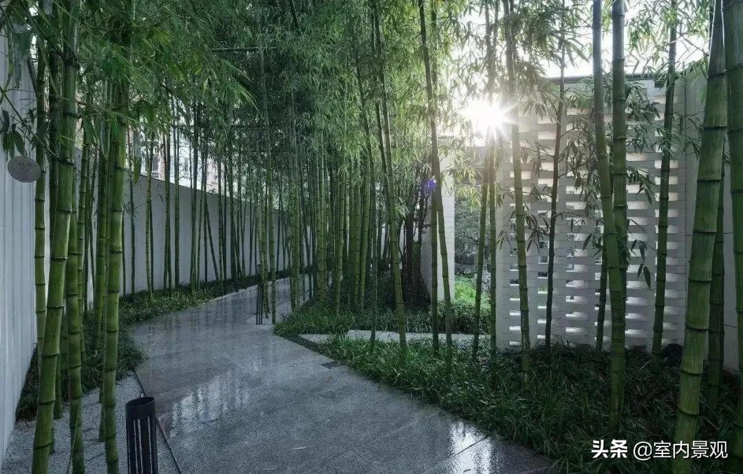 小小庭院美到极致,富有禅意的中国式庭院