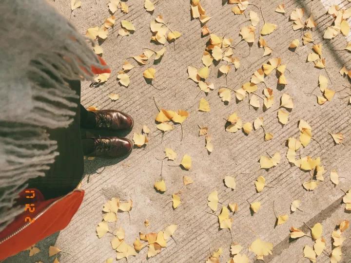 用手机就能拍出胶片照的app,有胶片感的手机拍照app