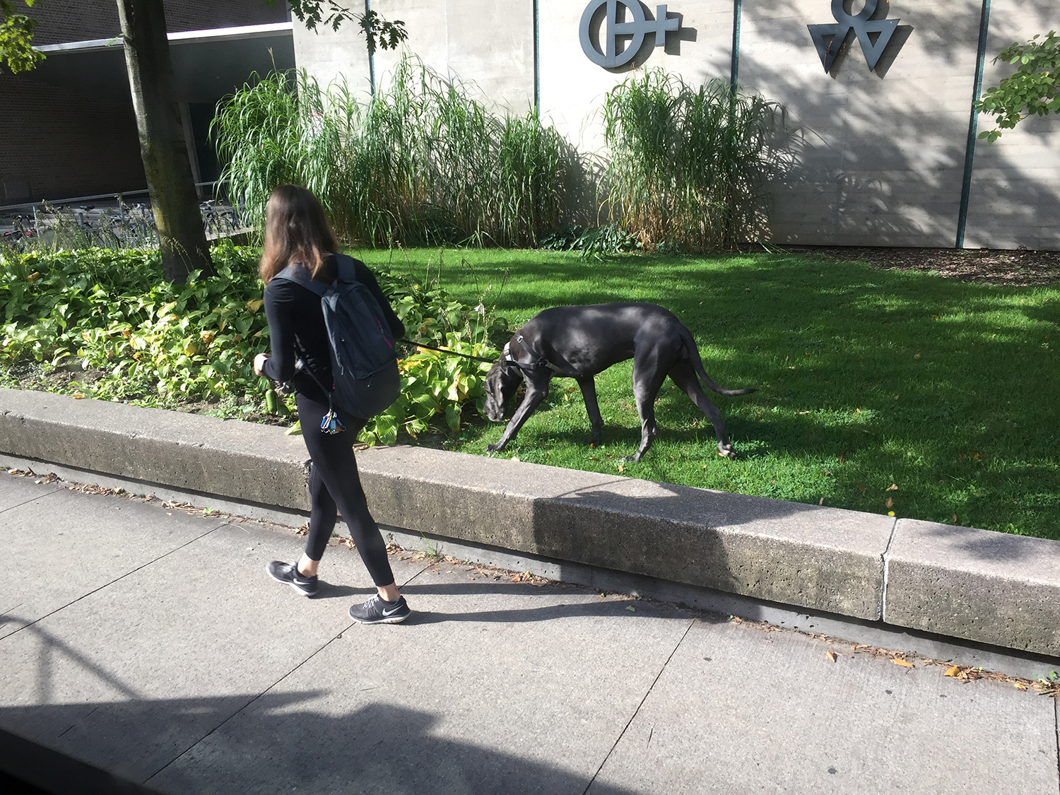 加拿大留学必备的网站,加拿大留学用什么网站