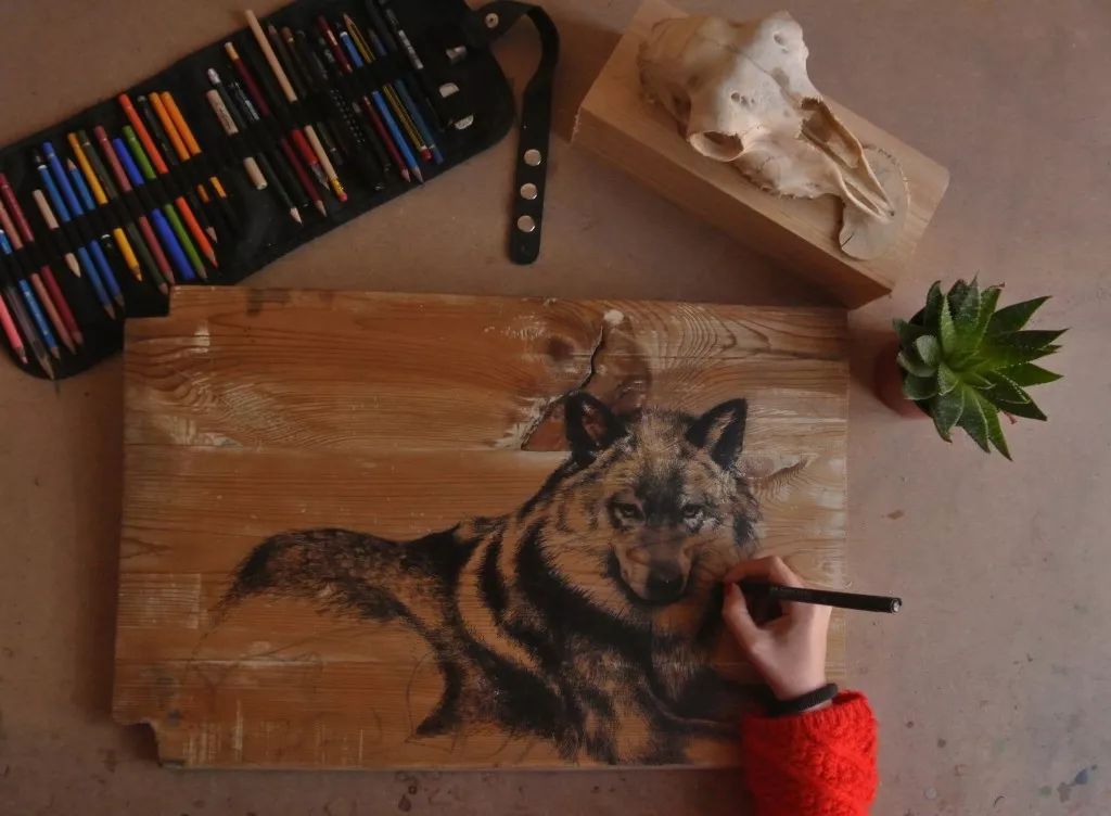 3d立体画写实彩铅,超写实彩铅手绘细腻的让人咋舌