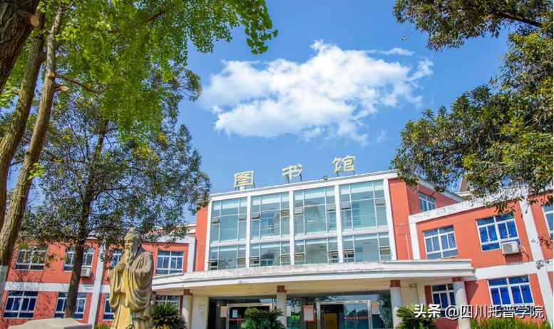 四川省托普信息职业技术学院单招,四川省托普学院单招考试大纲