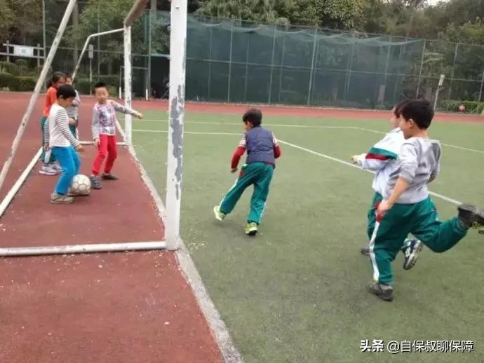 神兽回笼家长的心情,神兽回笼前的准备工作