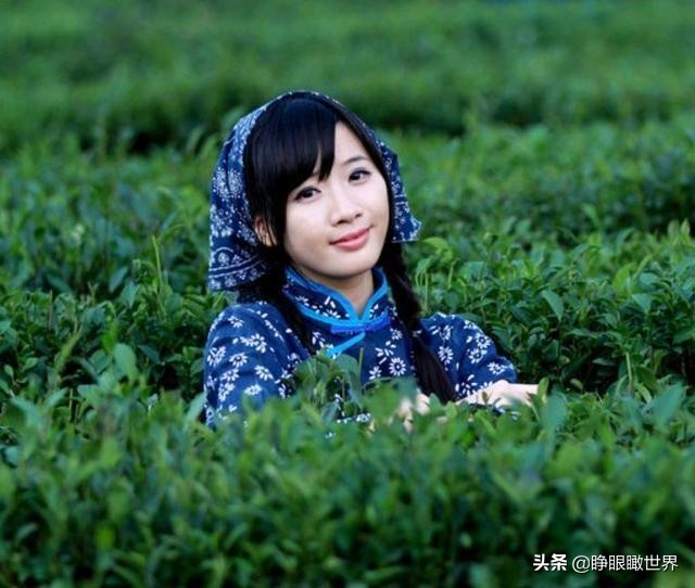 福建十大名茶排行榜,福建名茶排行榜前十名