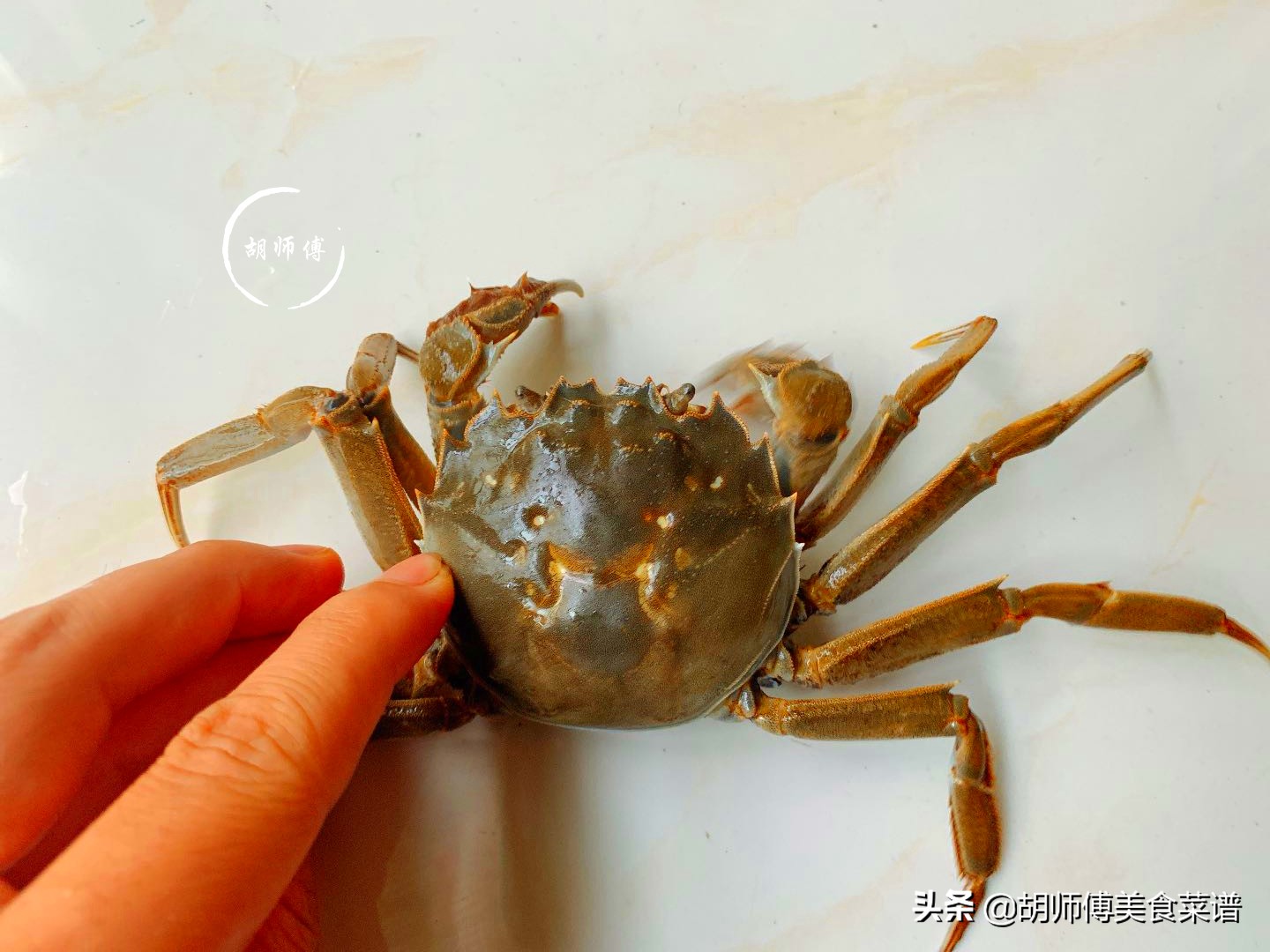 螃蟹要买公的还是母的怎么挑,教你挑选螃蟹的8个技巧