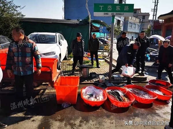 菜市场买的鱼回家快死了,刚死的鱼菜市场