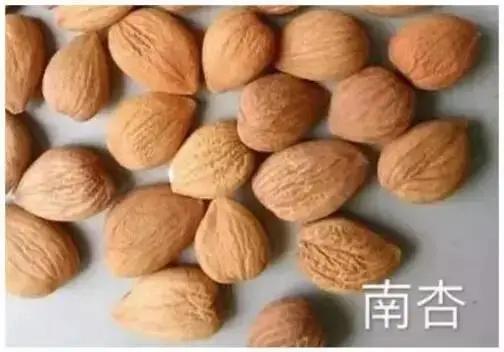 二十四节气之处暑健康养生小常识,处暑节气养生小技巧有哪些