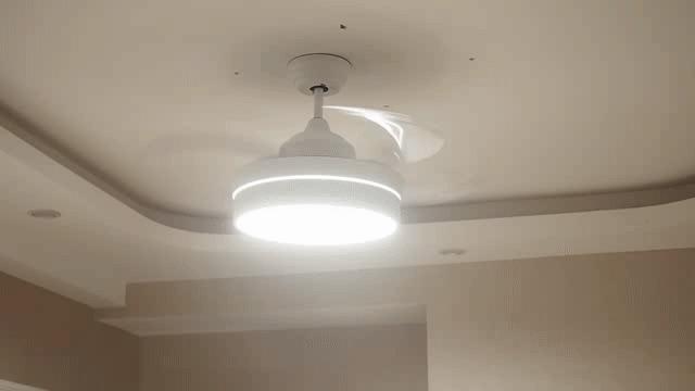 风扇十大公认品牌大全,家用风扇红黑榜