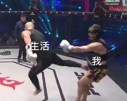 *兽禽**们搞起比利来有多“骚”？