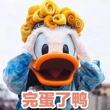 网红退税骗局,网红退税