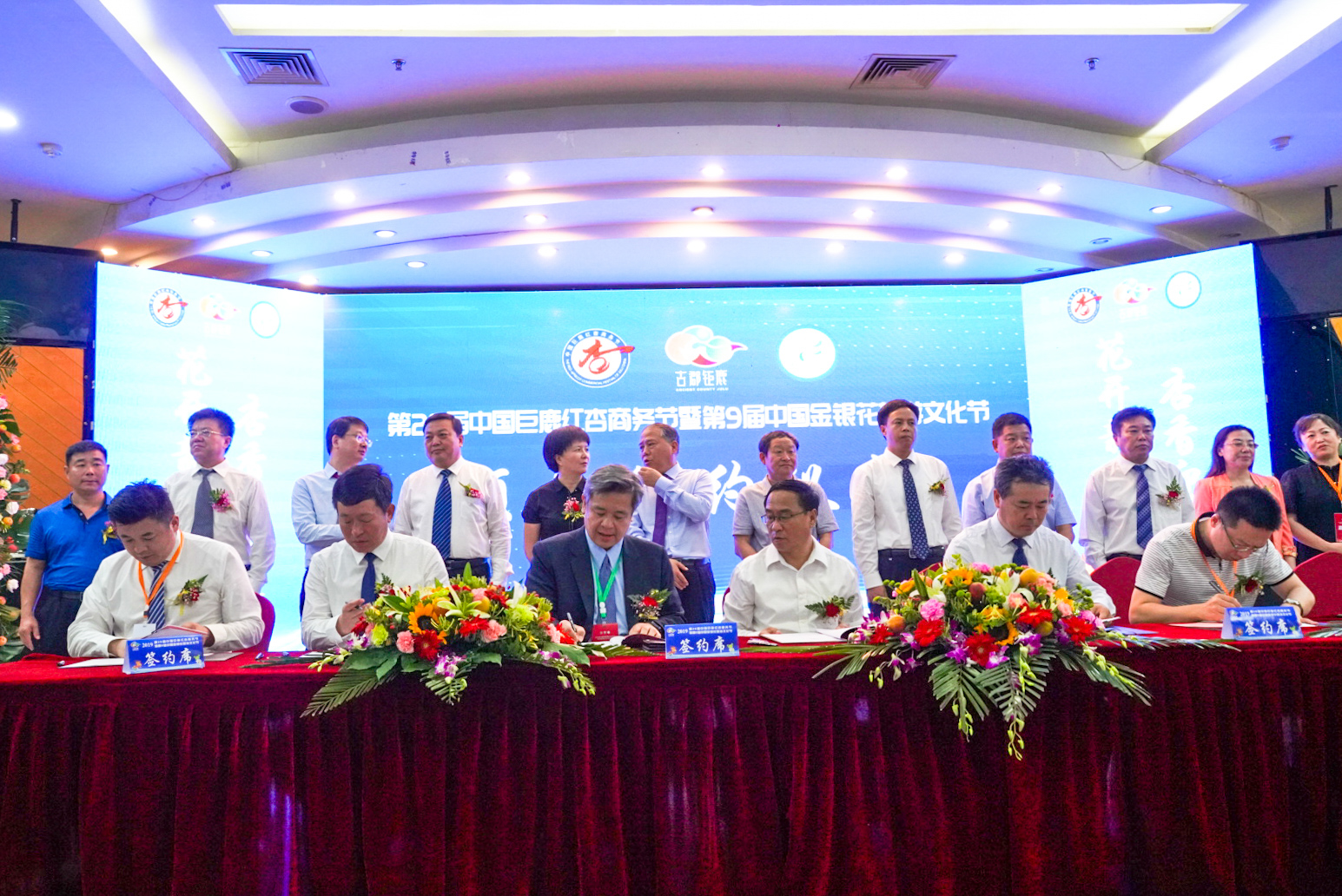 “杏运”来袭：这个县城一件事儿坚持了28年