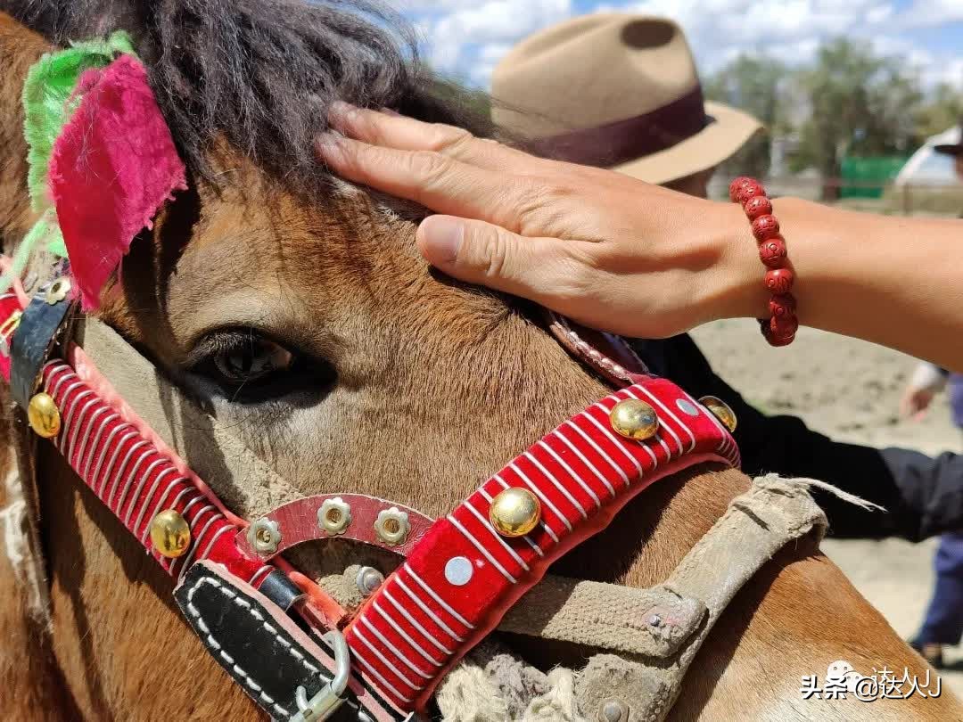 有一种信仰叫爱情,心目中的珠穆朗玛峰
