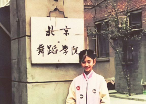 梅婷和李小冉近况,李小冉插足梅婷婚姻