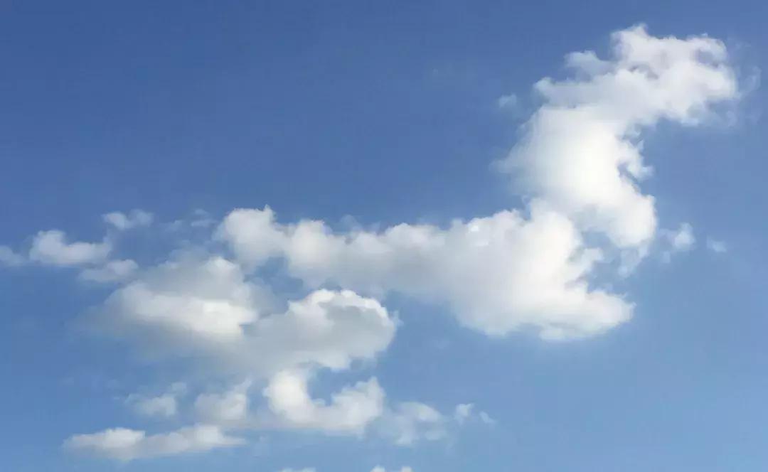 「故事」遭遇“流氓”的女孩:我为朋友挺身而出,她却丢下我逃跑了