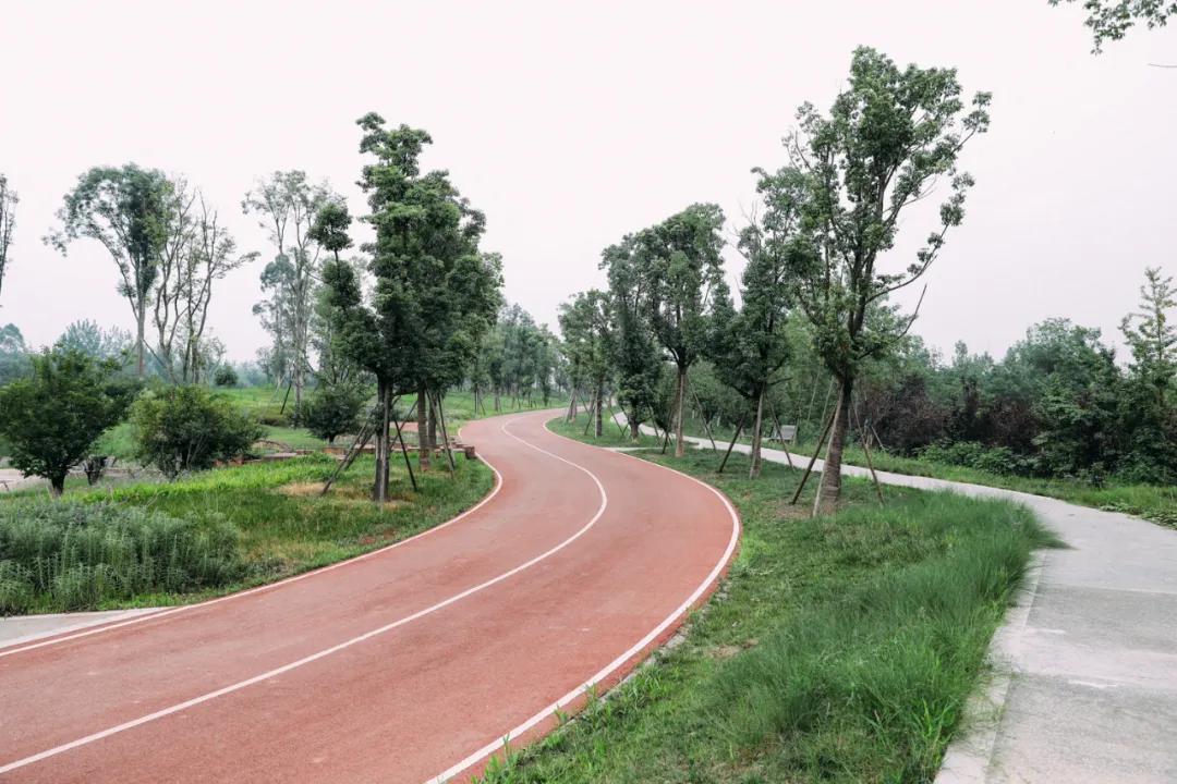 周末去哪里玩成都室内,周末去哪儿玩儿成都周围