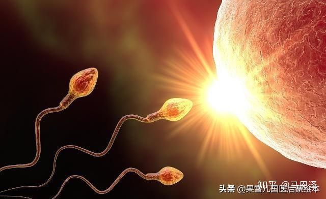 性教育，多早都不早