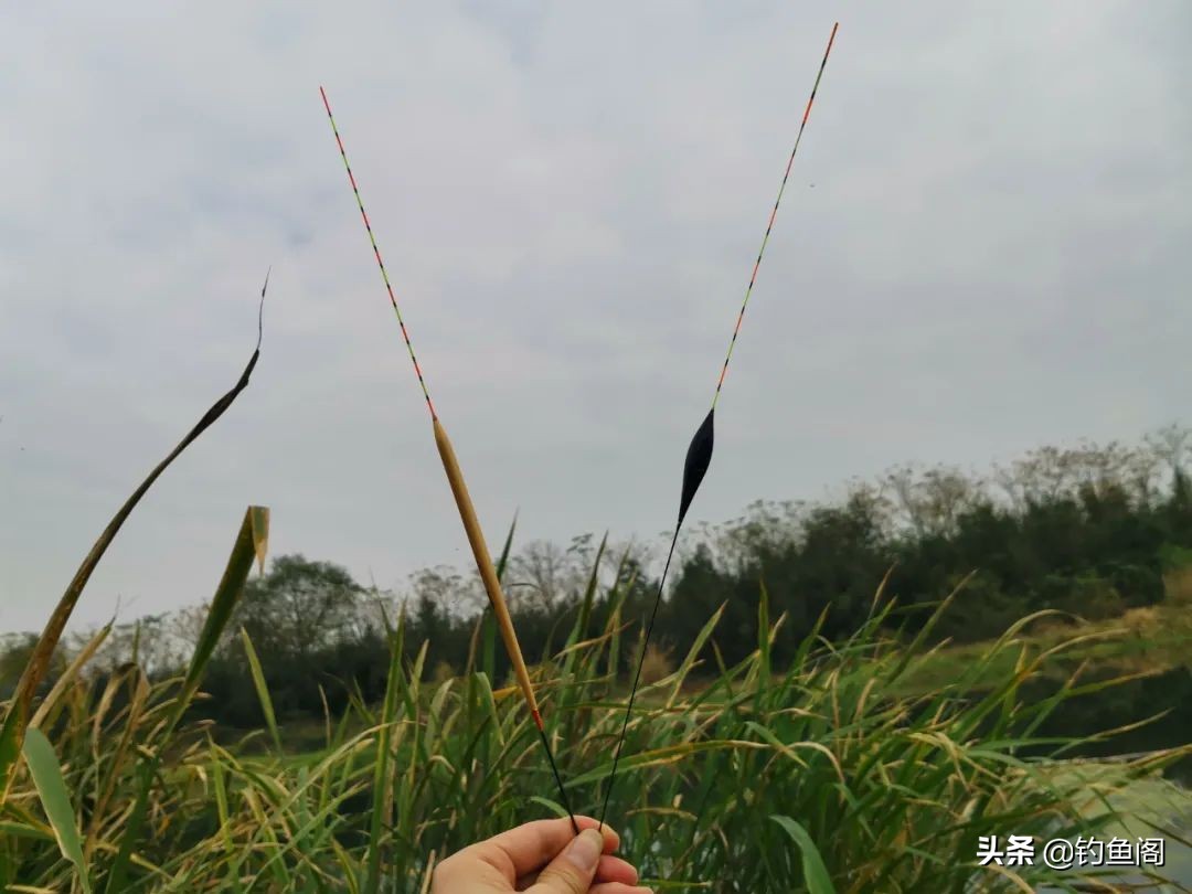 冲钓如何选择浮漂,如何选择浮钓漂