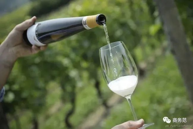 世界上超贵的起泡酒,世界著名起泡酒