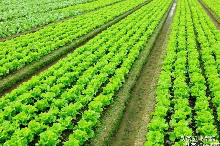 我相信，世界上有很多很多人，都是新伤叠着旧伤走过来的