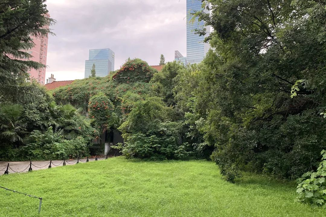 趣办空间|临窗观草木,*情纵**山水间:趣办@长乐路