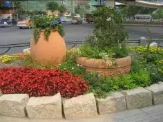 鹿邑百城建设效果图,百城提质工程